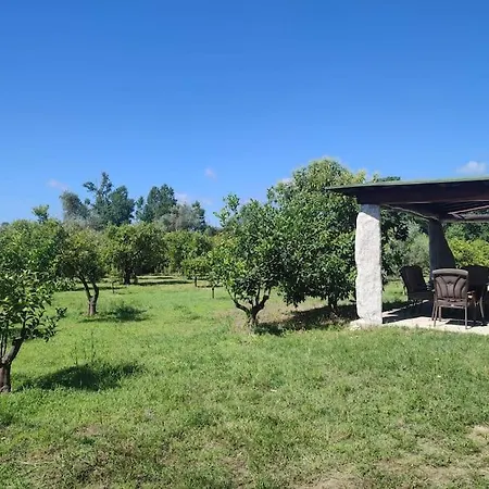 Il Nido Del Picchio