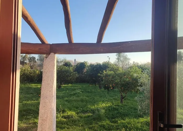 Il Nido Del Picchio トルトリ